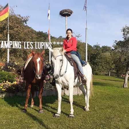 Camping Les Lupins Hotel Seppois-le-Bas Kültér fotó