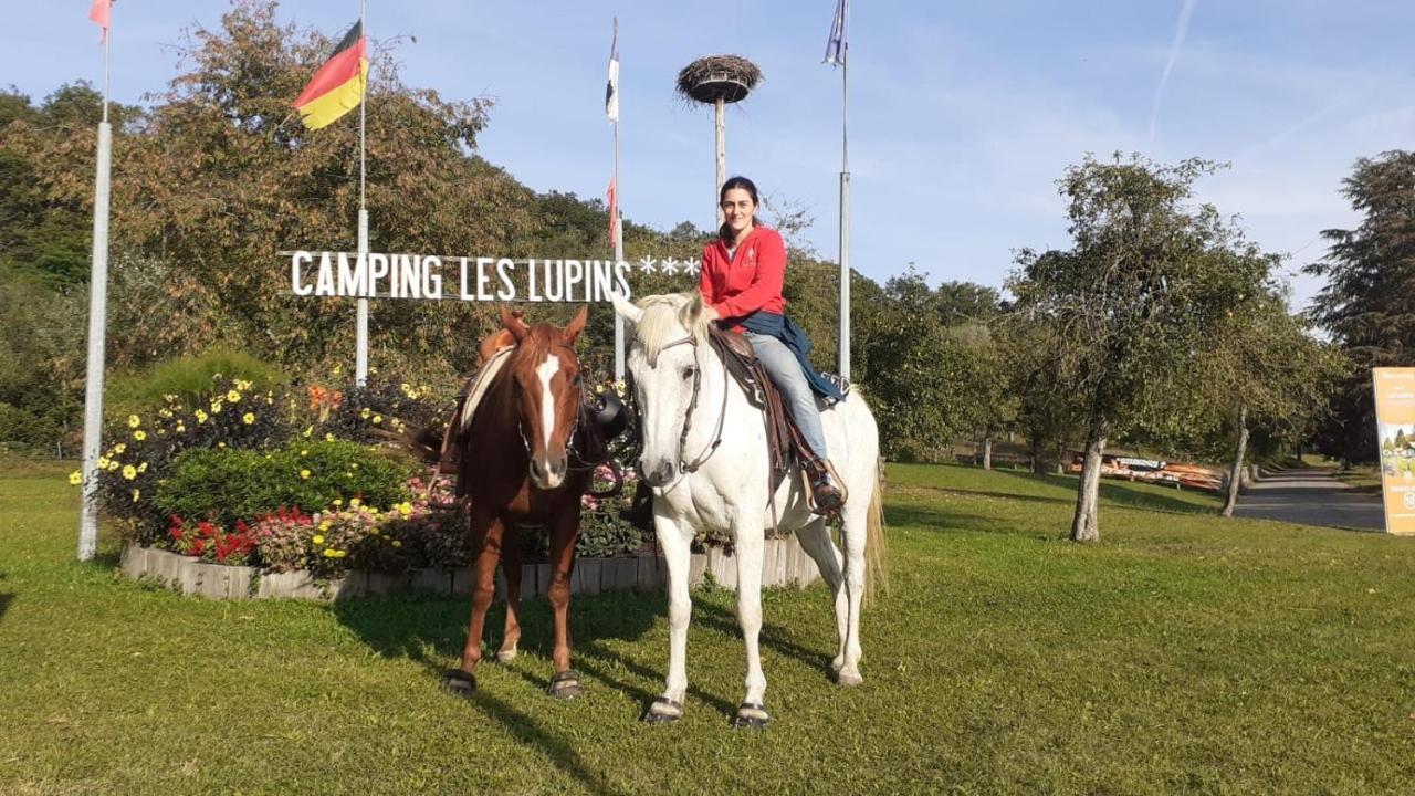 Camping Les Lupins Hotel Seppois-le-Bas Kültér fotó