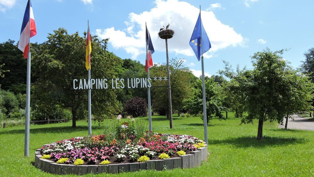 Camping Les Lupins Hotel Seppois-le-Bas Kültér fotó