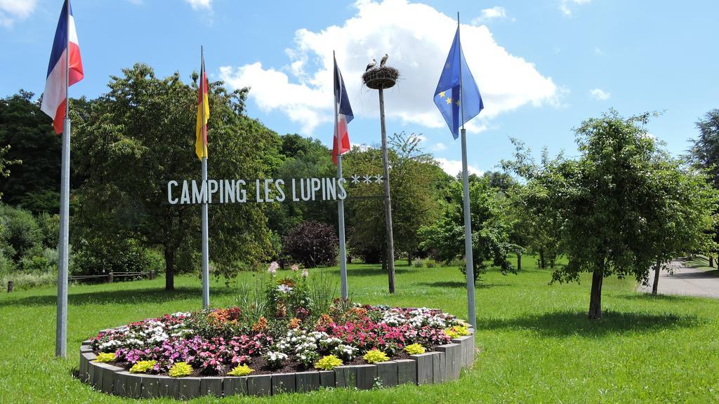 Camping Les Lupins Seppois-le-Bas Kültér fotó